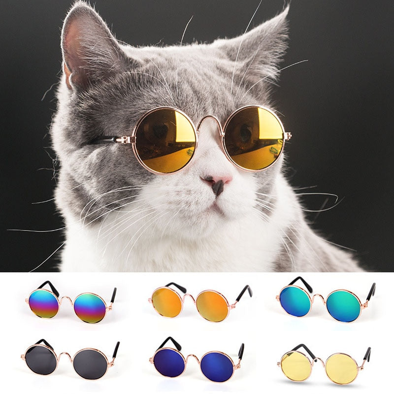 Pet Sunglasses