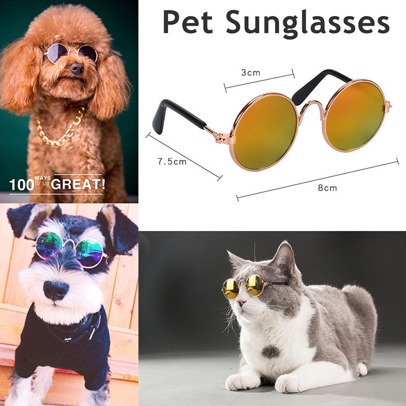 Pet Sunglasses